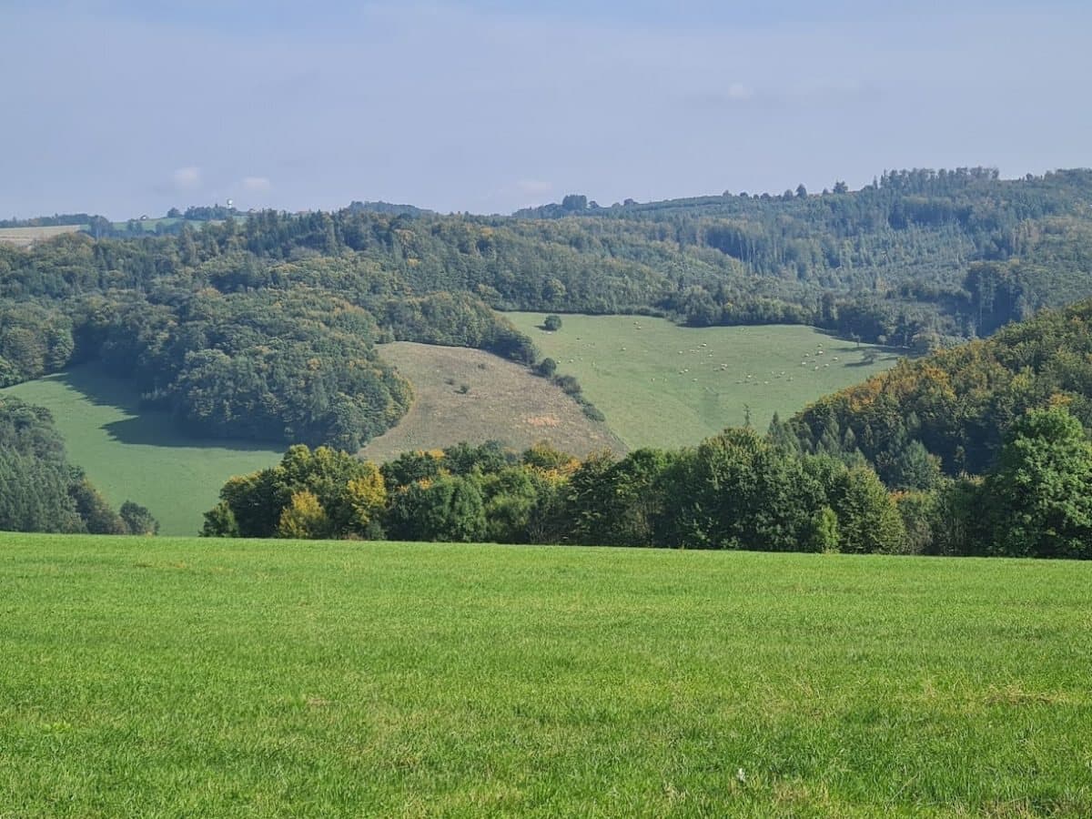 Zvlněná krajina luk a lesů kolem Žimrovic