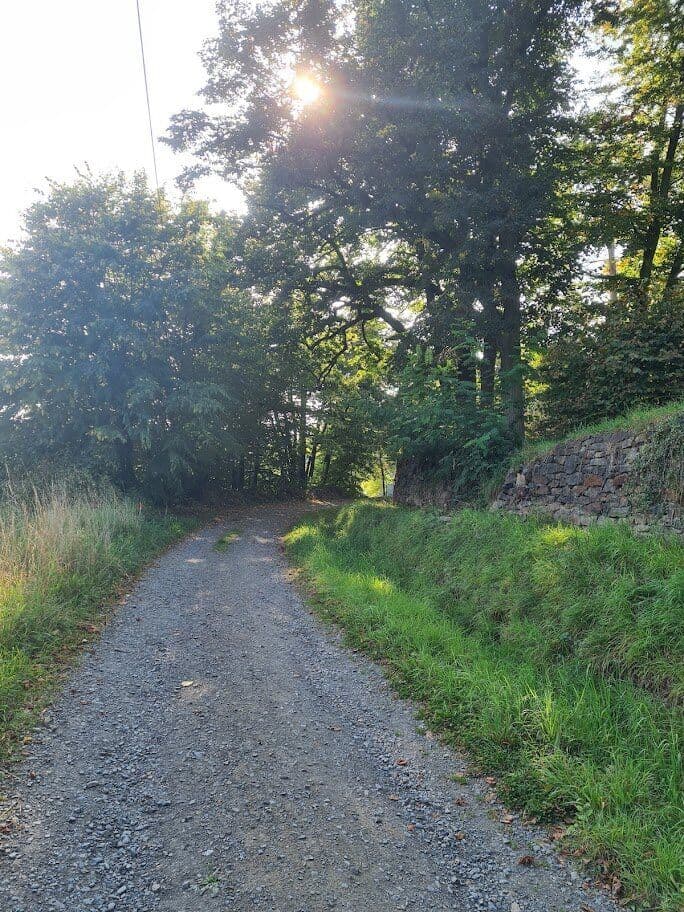 Běh údolím Moravice